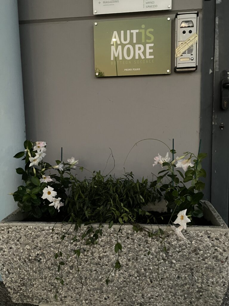 Image00022